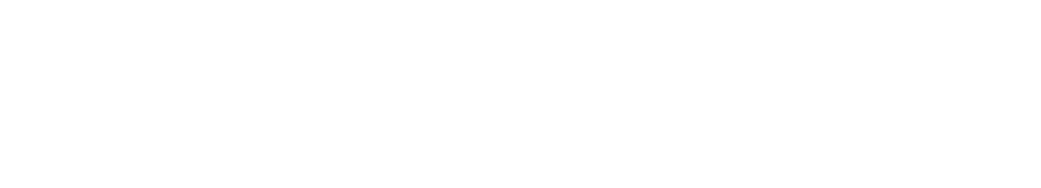 RiskExec
